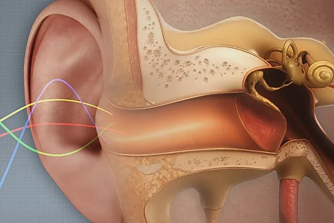 Could Inner-Ear Changes Affect How Sound Is Processed?